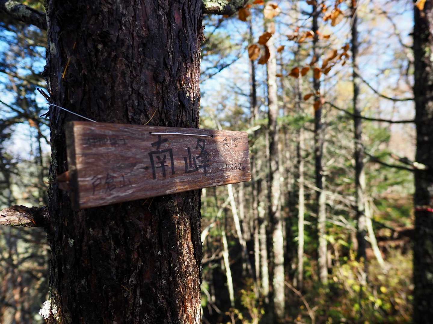 戸倉山南峰