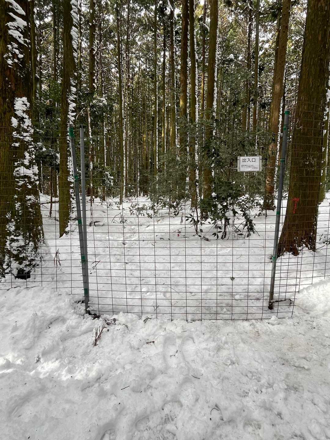無事簡易Pは雪なしでした。
本日もこちらからスタートさせて頂きました。