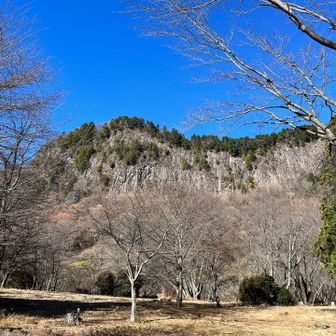 降りてきてパシャリ