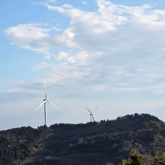 これも見たかった