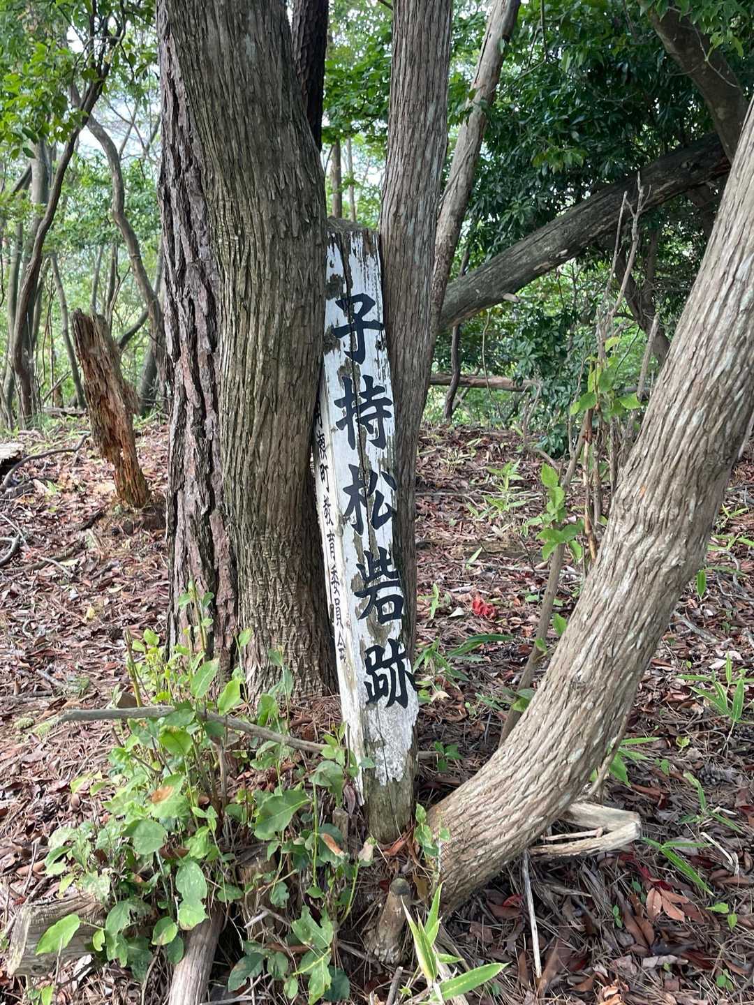 城跡🏯へ