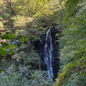 滝の音が涼しげで、癒されるー♪