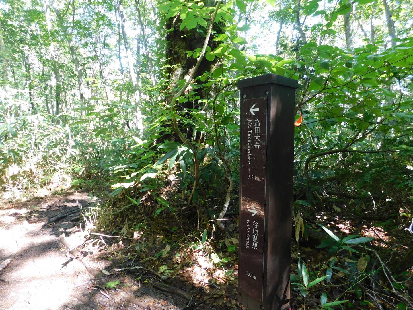 新しい標柱を見ながら