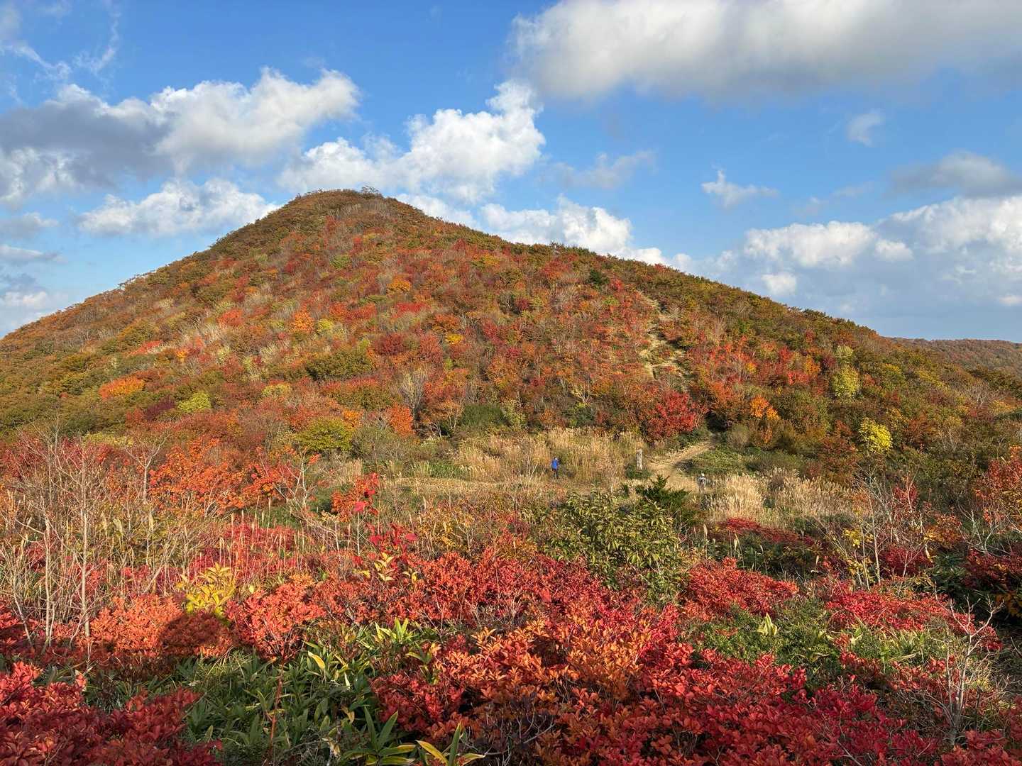 立烏帽子の紅葉
美しすぎて何枚も写真を撮ってしまう