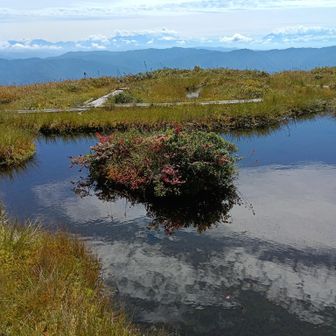 撮影時には気づかなかったが池塘にも雲が写っている！
