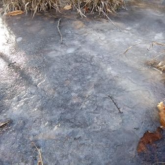 傍に流れてる川が凍りついていた
寒い訳ですね～
下山後乙女高原は断念します