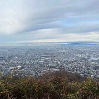 だからたまたまのクリスマスイブです