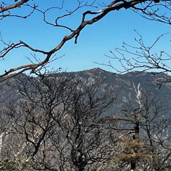 八経ヶ岳が見える