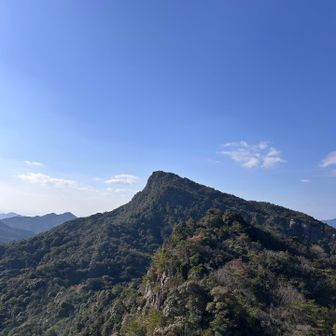 太郎丸からの次郎丸！