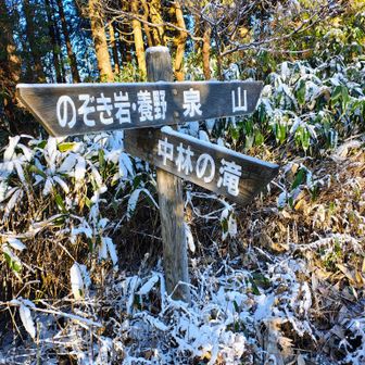 のぞき岩行きたかったんですが久しぶりの登山で体がガクガクで行くの諦めました😭

てか途中で諦めて帰ろうかなと思ったり😅
