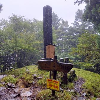 この雨の中ですが、山頂を目指す人が思いの外多かったです。