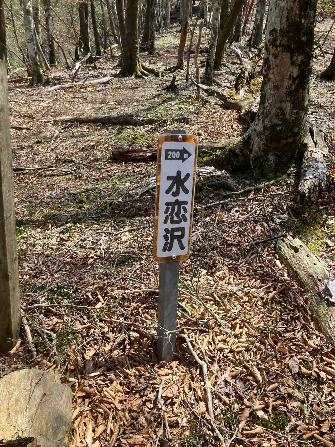 レポでよく見ますが　行きません