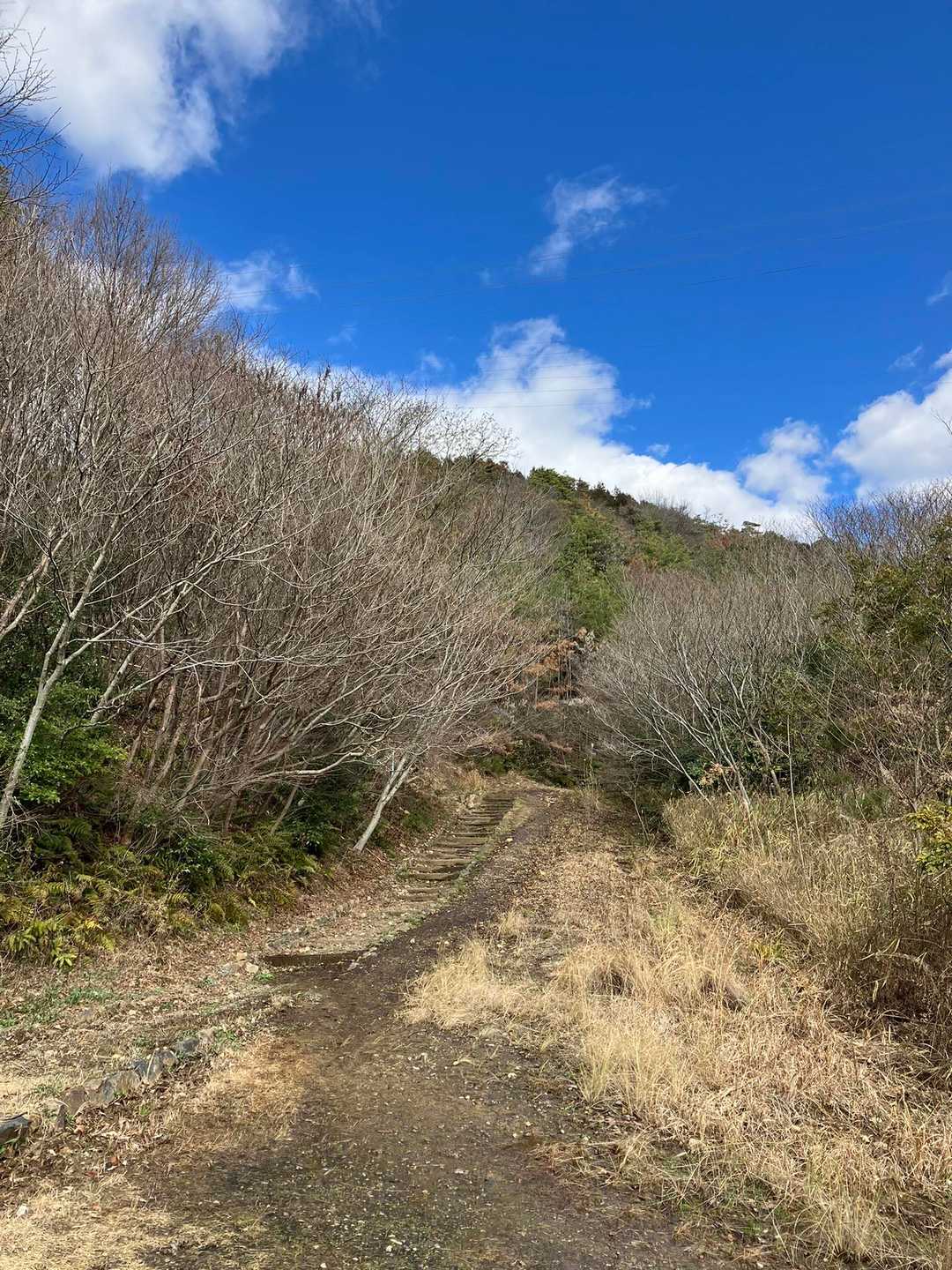 ふれあいの森入口-尾張白山 周回コースの写真