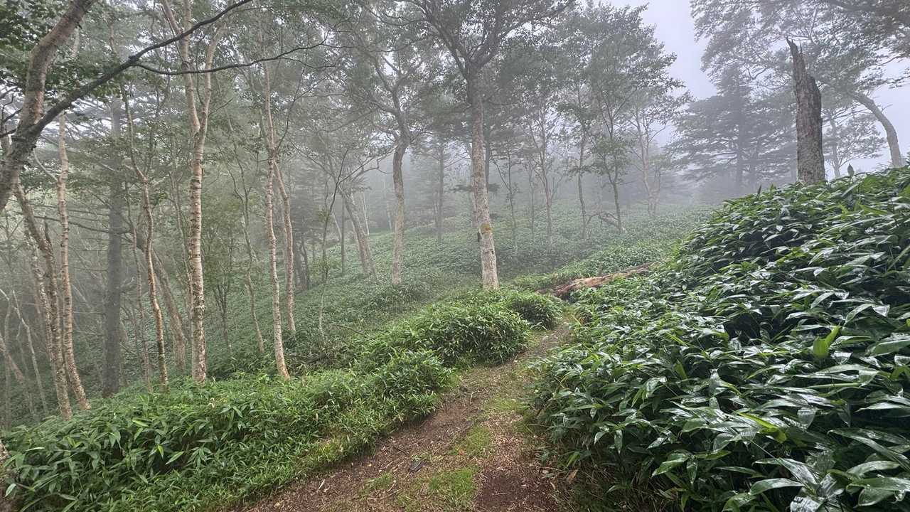 皇海山（鋸山周回）、日帰り最難関 の写真 37