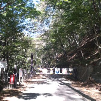 入口、ここらへん覚えてる