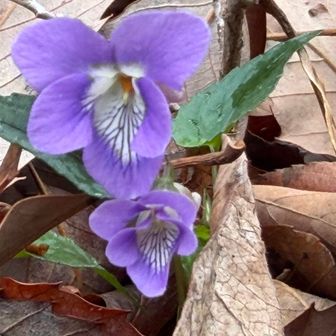 小さい君は魅力半端じゃないよ🥰