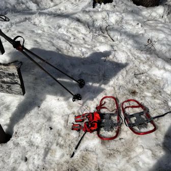 今日の山行を支えてくれたアイテムたち。