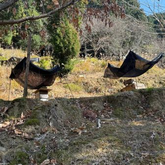 養蜂してるのかな？🐝