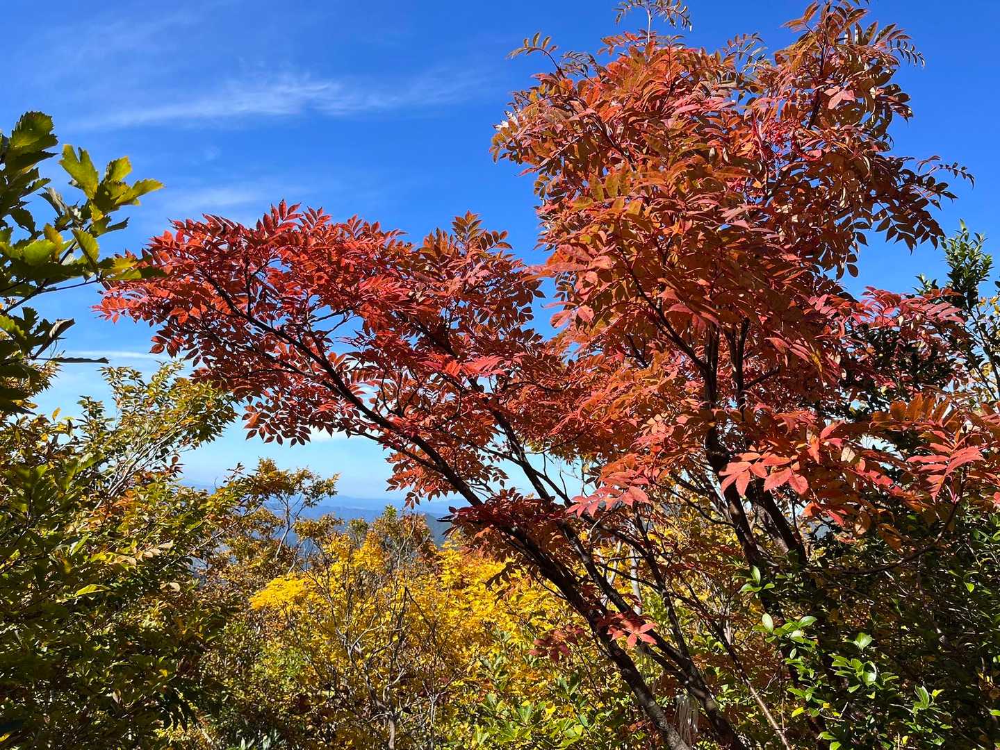 中ノ岳-小兎岳-兎岳-大水上山-丹後山-ジャコ平 周回コースの写真