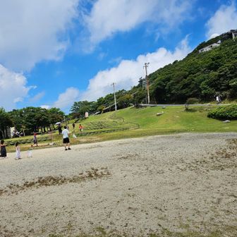 虫取りしてた