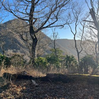 目指す檜洞丸は、まだまだ遠い