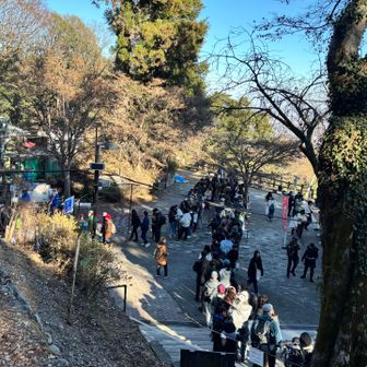 並んでますね😱