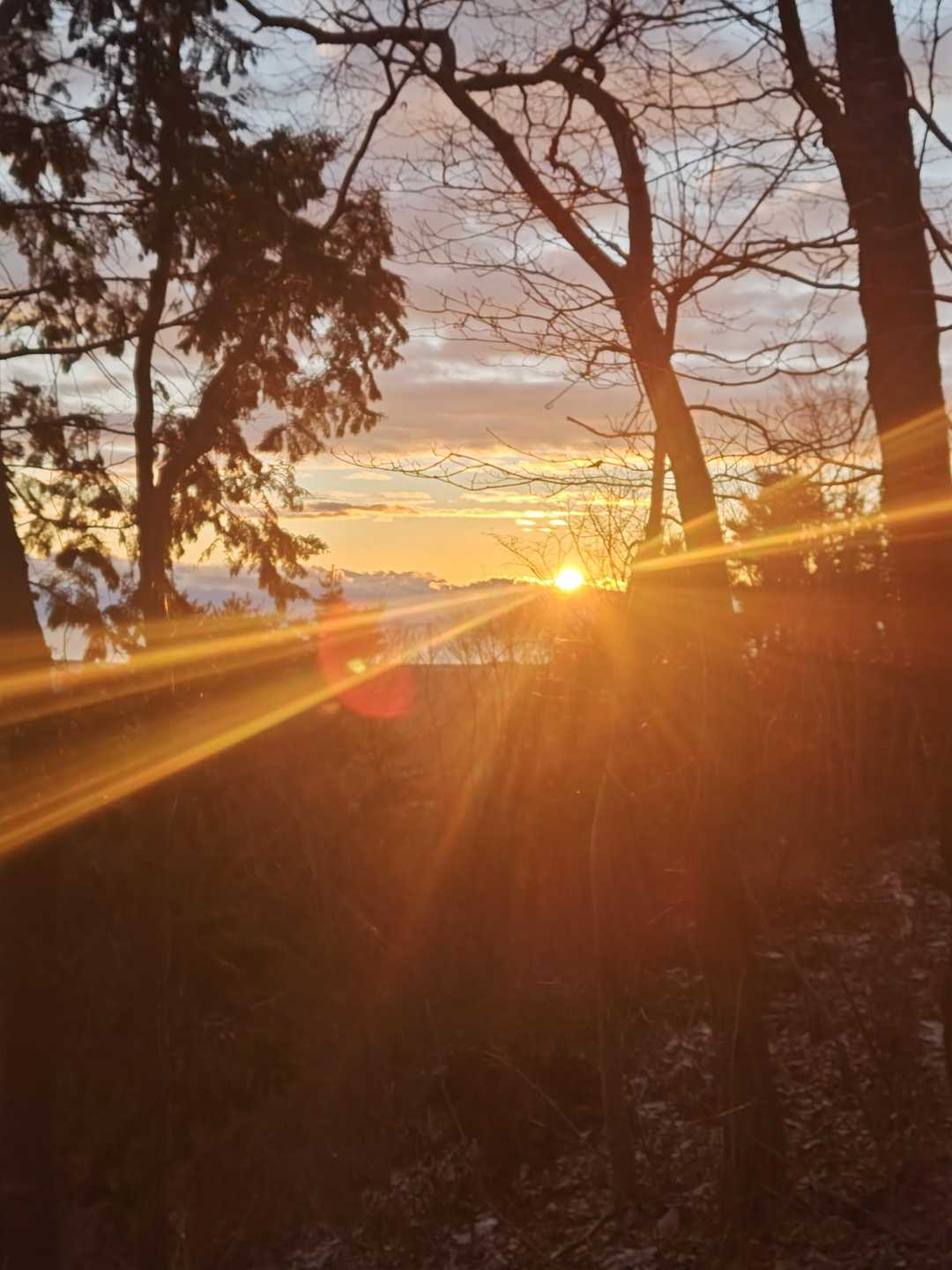 国見山-山の神 往復コースの写真
