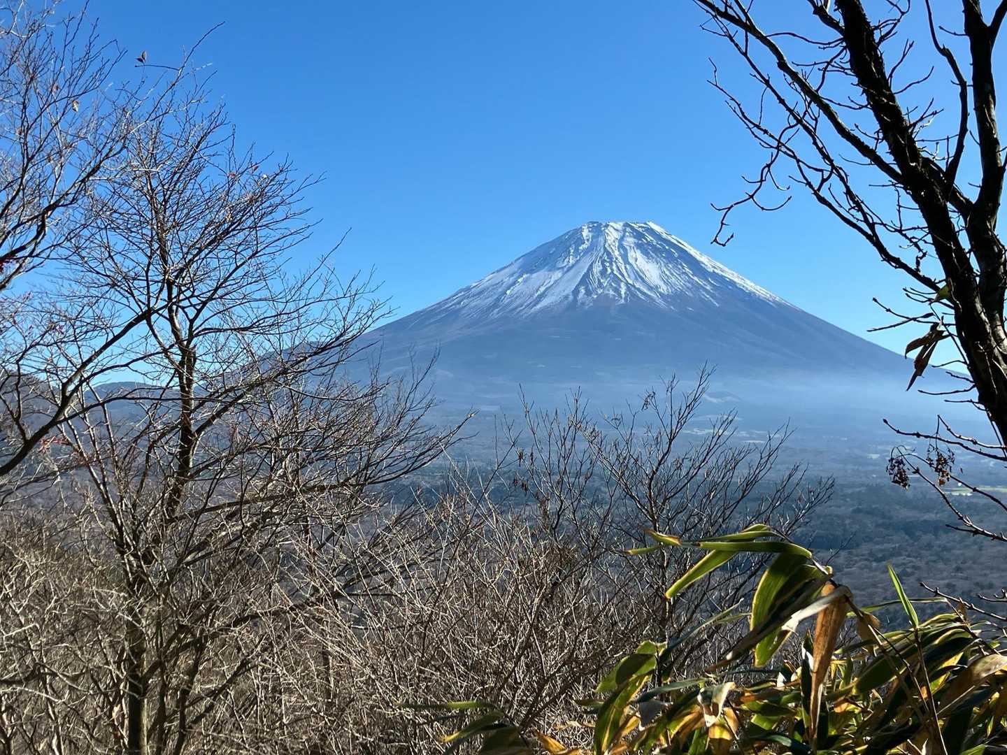 富士山の下の方が軽く白くいい。