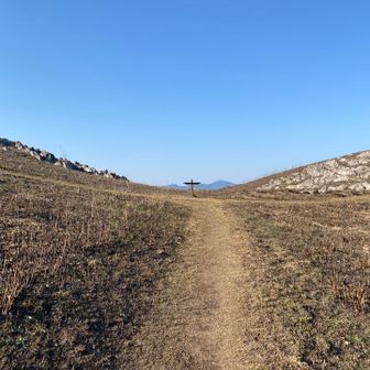 この分岐を左に行くと龍護峰。