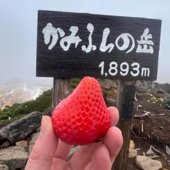夏瑞うんまい🍓
