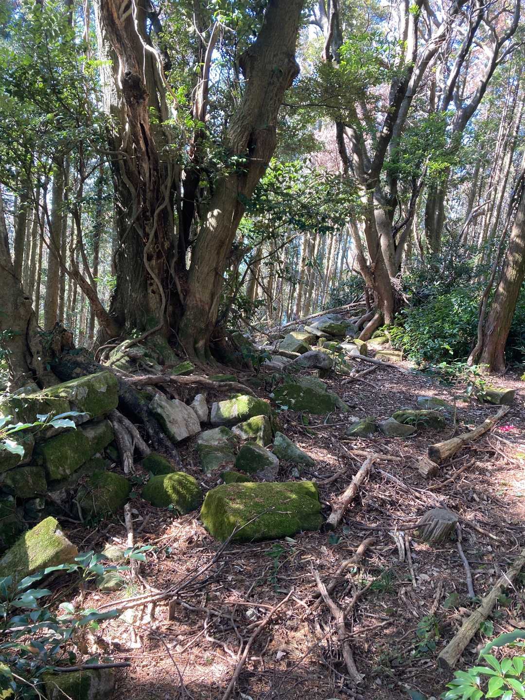 途中、広くなっている場所があります😄