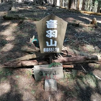 音羽山に到着
展望なし、丸太ベンチあり