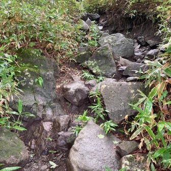 大きな岩がゴロゴロ
