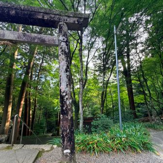 もみじが美しいところ
来月はもみじ祭り🍁かな
その時はこちらの駐車場は有料になるそうです