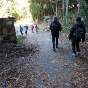 有馬に降りてきました。