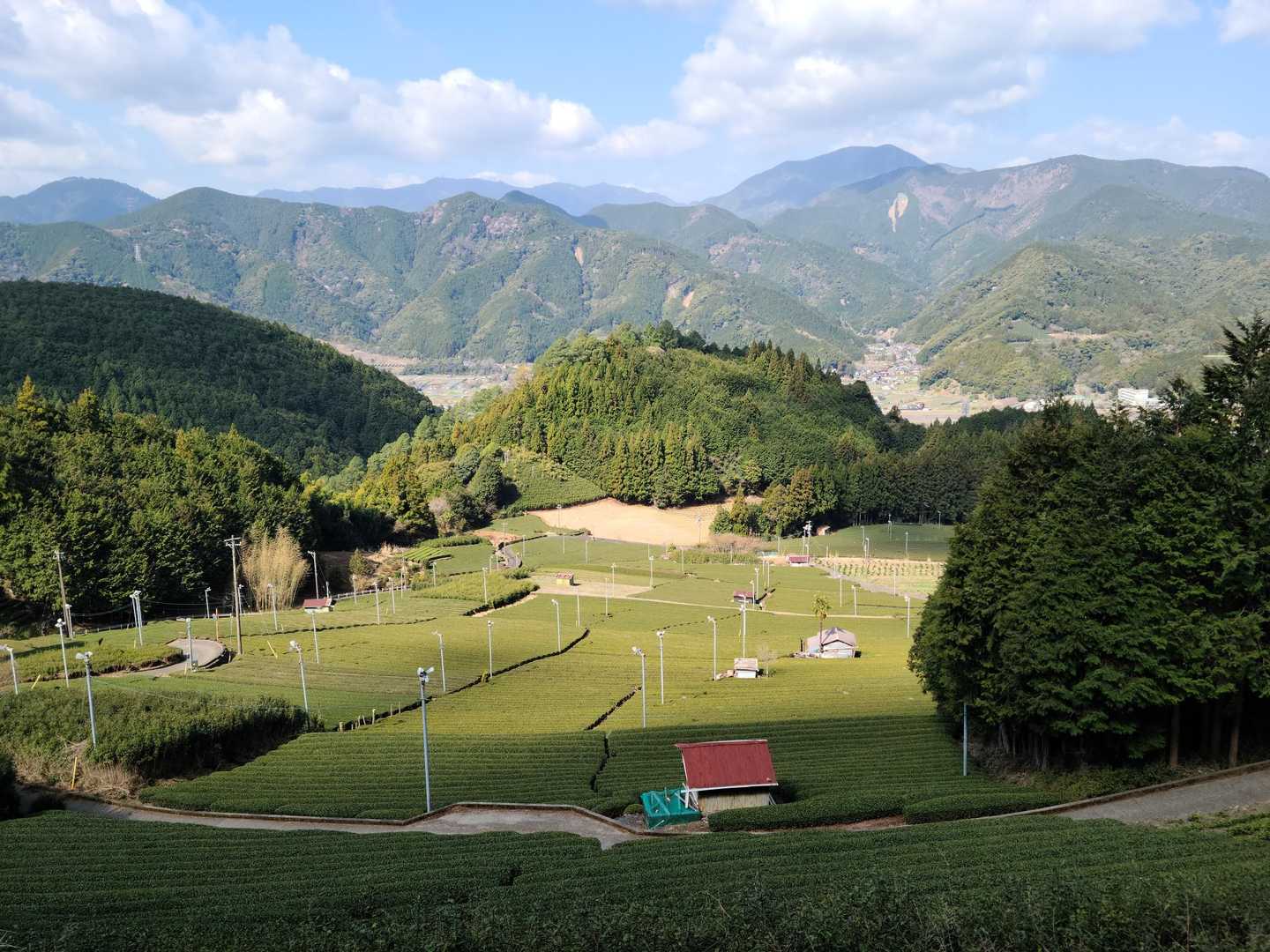 このルートでよく見る風景