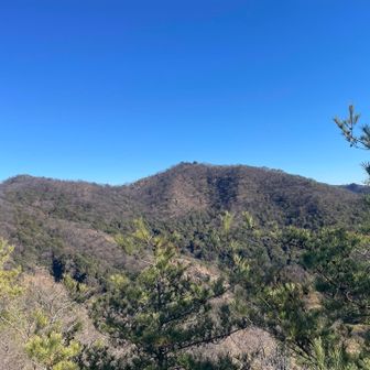 さっきまでいた大坊山があんなに遠くに⛰️