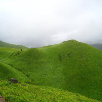 次に向かうは前方に見える おにぎり山です。
