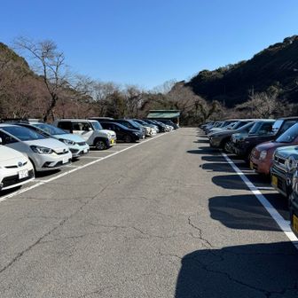 帰ってきたら車ズラー