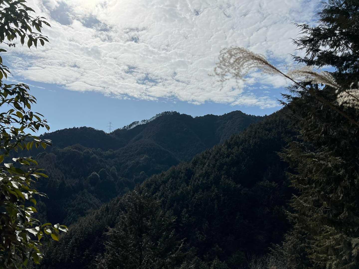 名残惜しい