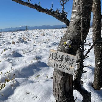 東峰に着きました。