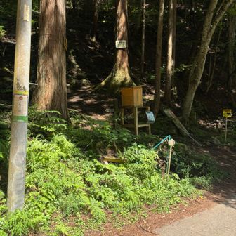 戻って来ました。
くだりは足にきますが、
素晴らしく楽しい山行でした👌
また来ます😊
