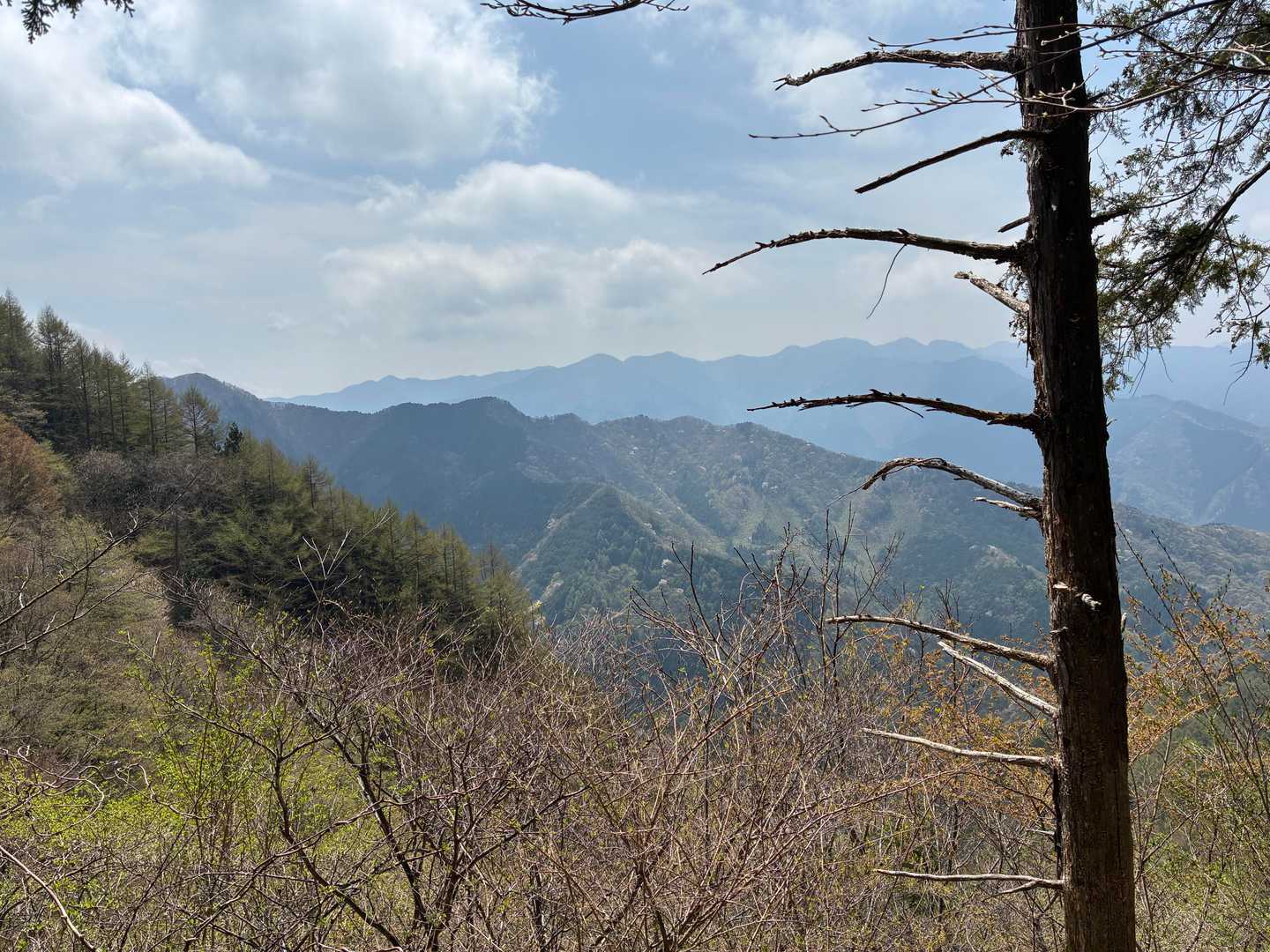正丸駅-伊豆ヶ岳-武川岳-大持山-武甲山-浦山口駅 縦走コースの写真