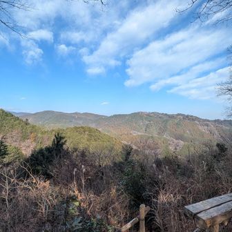 高尾山が見えます