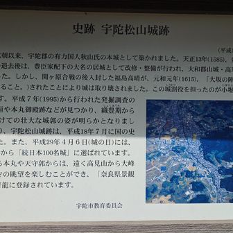 小堀遠州は秀長の家臣でもあったとか・・