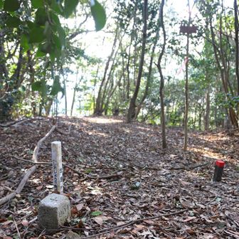 前岳山頂
■前岳
等級 :　四等三角点
緯度 :　32.984742167
経度 :　130.507653333
標高 :　291.88m
COD :　TR44930348001
場所 :　熊本県荒尾市
訪問 :　2026年1月11日