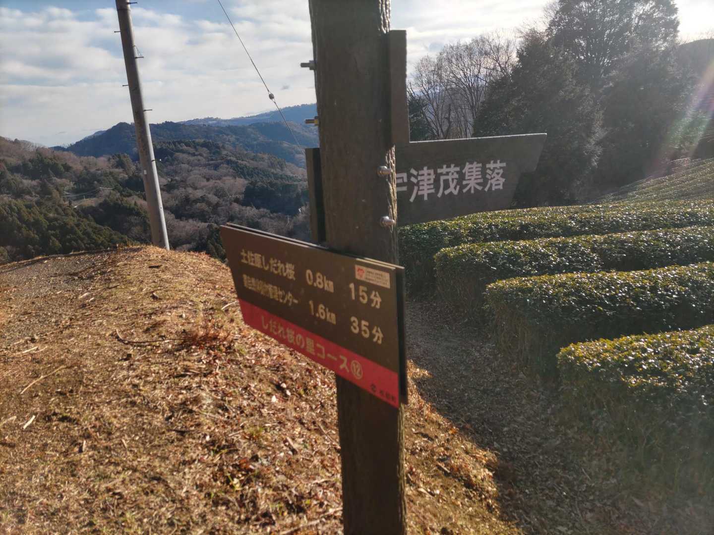 いきなり集落名しか書いてない分岐で
困惑しますがバス停は宇津茂集落方面