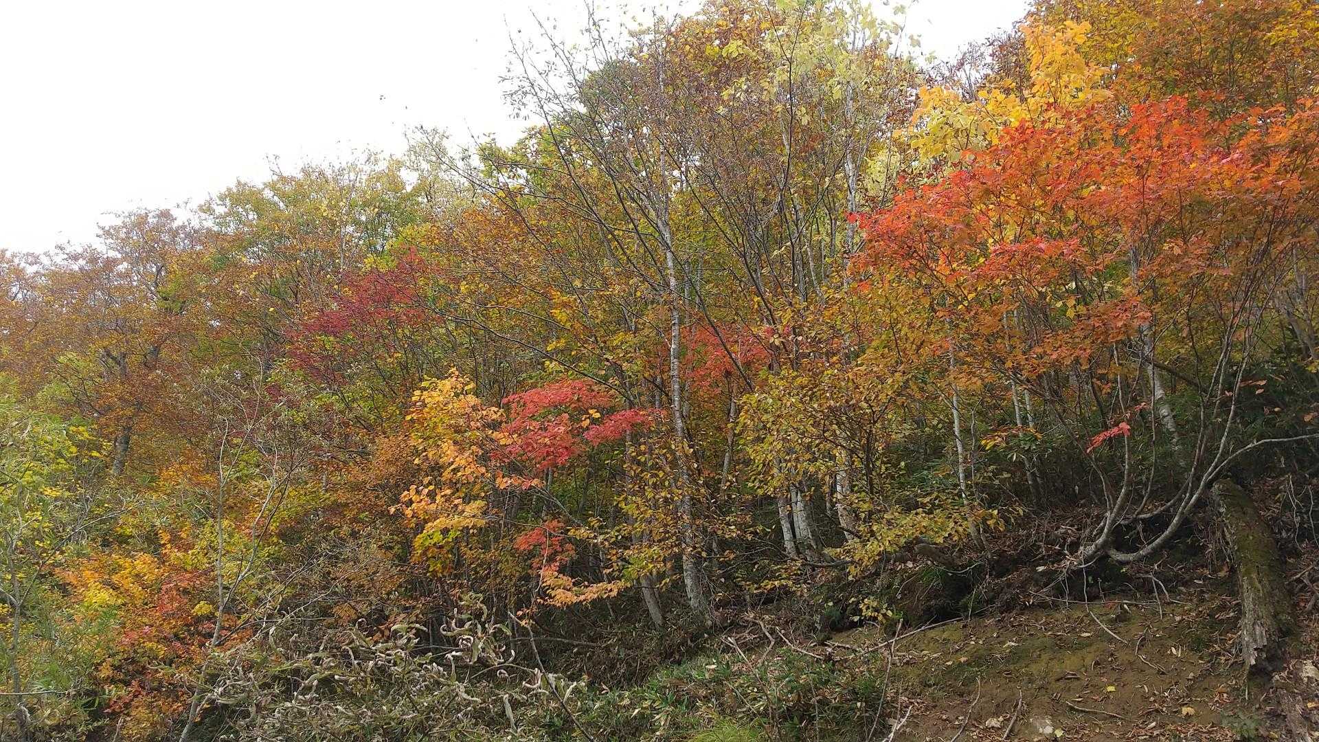 一ノ瀬バス停-尾瀬沼-燧ヶ岳 周回コースの写真
