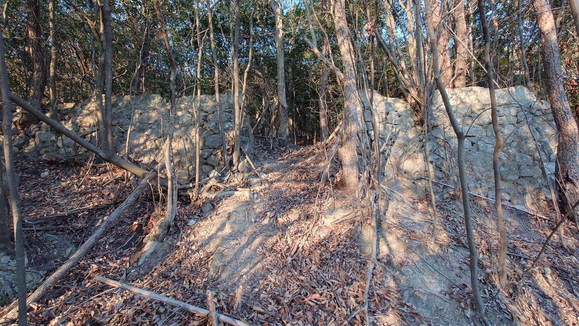 立派な石垣がありました。城門の跡かな？