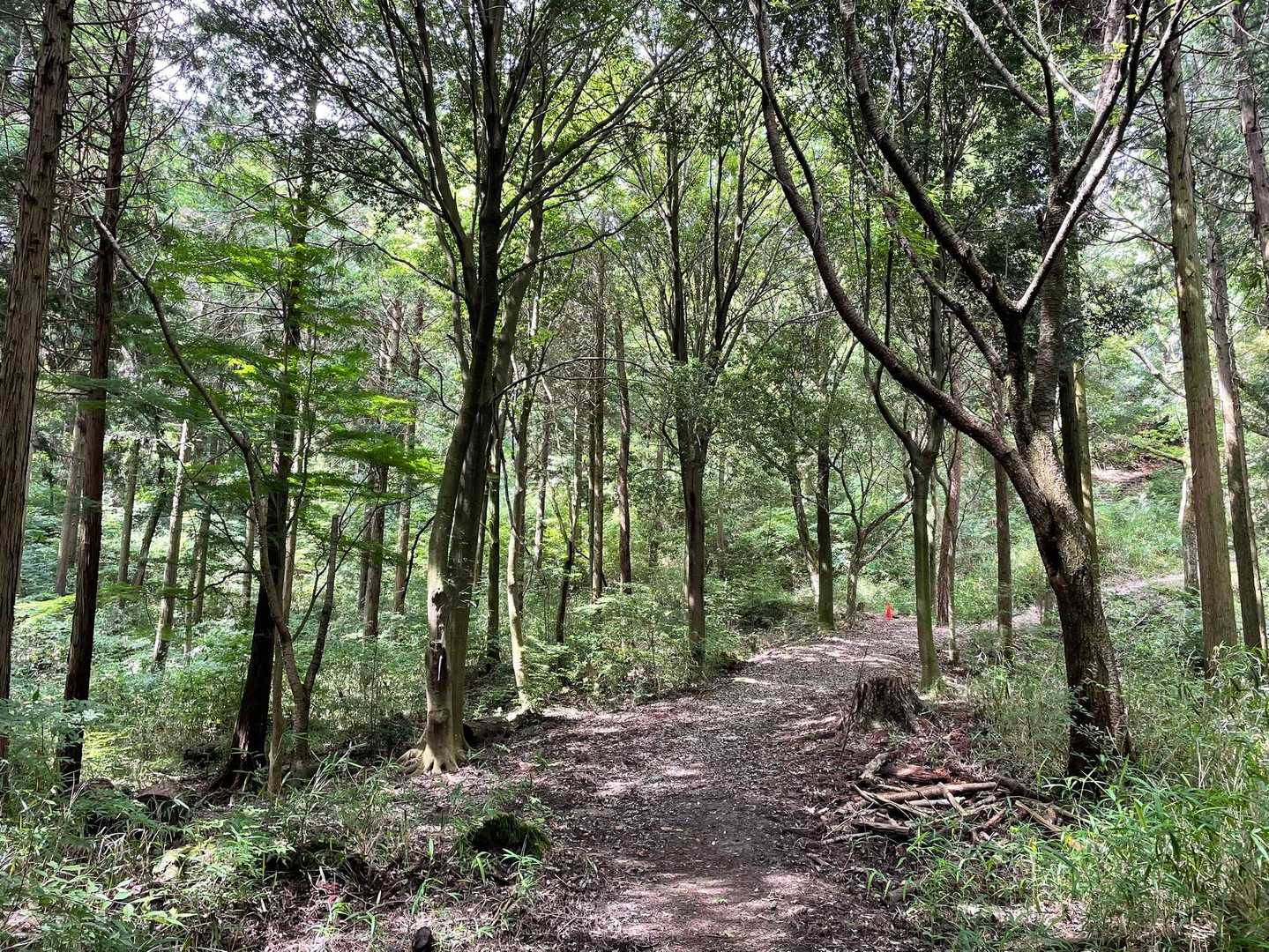 鍋蓋山-再度越-再度山 周回コースの写真